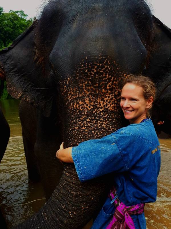 Thailand, Elefantencamp