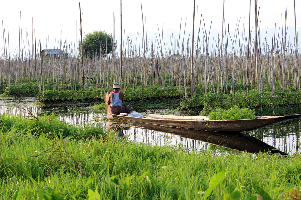 Schwimmende Gärten Inle See