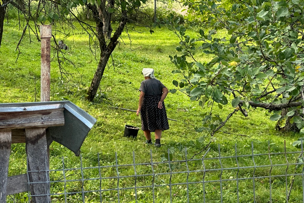 Alte Frau im Apfelbaumgarten