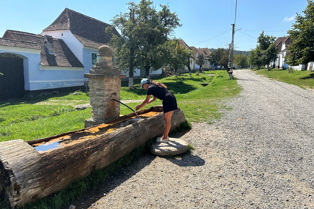 Dorfbrunnen in Viscri