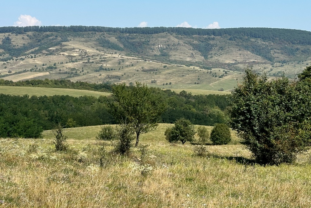 Landschaftsbild in Viscri